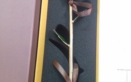 Những món quà độc, lạ dịp 8/3