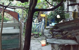 Hoảng sợ thấy hàng xóm treo cổ trên cây sấu