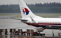 Máy bay Malaysia Airlines bị đàn vịt đâm vỡ đèn