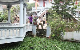 Hai bé trai 5 tuổi tử vong trong bể cảnh