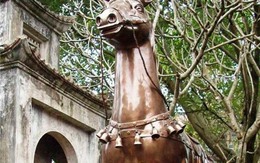 Cận cảnh 'ngựa lạ' bị trục xuất ở đền Phù Đổng