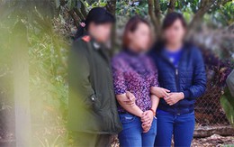 Vợ dựng hiện trường bị… cướp để lừa chồng