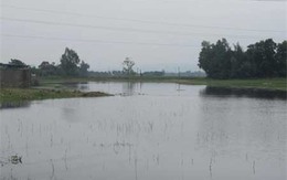 Hai cháu bé chết đuối khi gửi cho hàng xóm