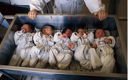 Trung Quốc triệt phá đường dây buôn bán hàng trăm trẻ sơ sinh