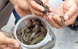 Những kiểu mua hàng khác người của lái buôn Trung Quốc