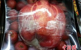 Quả táo khổng lồ nặng 1,2kg giá 20 triệu đồng