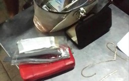 Lái taxi bỏ chạy cùng tài sản của nữ Việt kiều