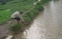 Bàng hoàng phát hiện xác 2 thai nhi dưới mương nước