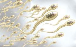 10 loại thực phẩm làm tăng số lượng tinh trùng