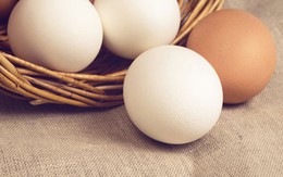 Top 12 loại thực phẩm giàu protein tốt cho sức khỏe