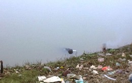 Hốt hoảng phát hiện xác chết nổi trên sông