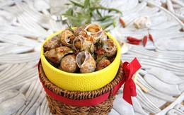 Mẹo chọn và chế biến ốc ngon