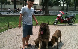 Nhà nghèo chạnh lòng nhìn 'đại gia' chăm chó