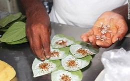 Ăn trầu – Thủ phạm gây ung thư