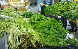 Hợp tác xã rau sạch ở Hà Nội trà trộn rau "bẩn" bán cho siêu thị