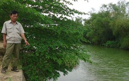 Can cha đánh đập người yêu, thiếu nữ nhảy sông tự vẫn