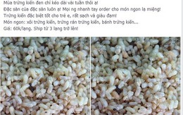 Dân Hà Thành chi bạc triệu ăn trứng kiến gai đen