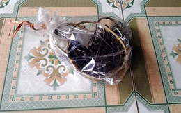 Chạm vào người chó, chủ nhà bị điện giật chết