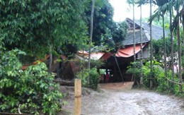 Em tâm thần, “giã” chị dâu đến chết