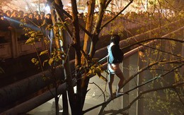 Trai bao giả gái bán dâm, trèo cây trốn cảnh sát
