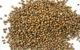 Sự thật về bài thuốc “10 phút khỏi bệnh sởi”