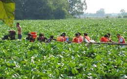 Tìm thấy thi thể cuối cùng trong vụ đùa giỡn làm lật ghe