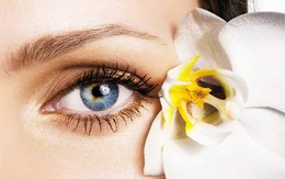 5 vật “bất ly thân” giúp chị em có đôi mắt khỏe đẹp