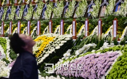 Tiếng thét của hành khách phà Sewol ám ảnh ngư dân