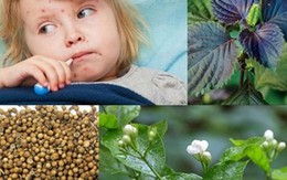 Cách hữu dụng phòng bệnh sởi khi chưa kịp tiêm phòng