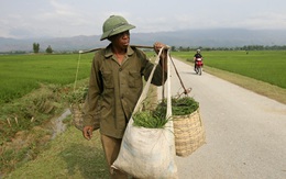 Câu chuyện cuộc đời con trai một người lính Pháp ở Điện Biên