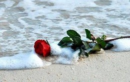 Không có tình cảm trong chuyện làm ăn?