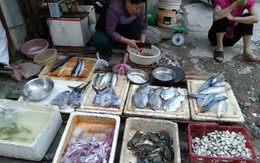 Mực da bong, râu rụng giá 10.000 đồng/lạng