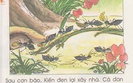 Giật mình với hình minh họa trong sách giáo khoa Tiếng Việt 1