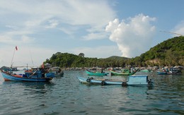 Thu tiền triệu mỗi đêm nhờ câu mực bằng cần tre