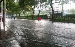 Bắt cá trê giữa trung tâm Sài Gòn