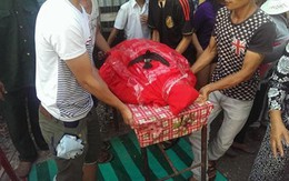 Xôn xao chú chim tiếc thương không rời xác rùa thần