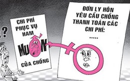 Kiện đòi hơn 600 triệu đồng "phục vụ" chồng trong 26 năm