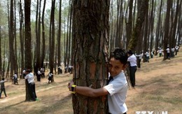 Hơn 2.000 người dân Nepal ôm cây bảo vệ môi trường