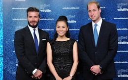 Bóc giá váy hiệu Thu Minh mặc gặp gỡ David Beckham