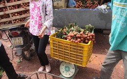 Vải rẻ thối vẫn bị ép giá, cân điêu