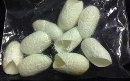 Mỹ phẩm tự chế từ kén tằm giá 2.000 đồng