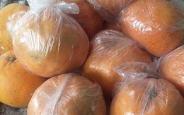Kinh hãi cam để quên 2 tháng vẫn tươi nguyên