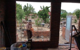 Ông già Đan Mạch yêu người phụ nữ bán chôm chôm vì... 1 USD