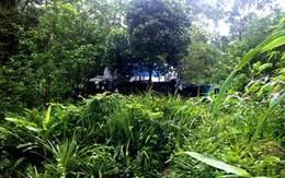 Gia đình 6 người sống giữa rừng sâu vừa được phát hiện