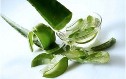 Lợi và hại khi tiêu thụ nước ép lô hội