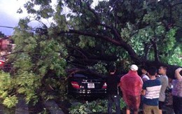 Chiều tối nay, mưa dông xuất hiện trở lại Hà Nội