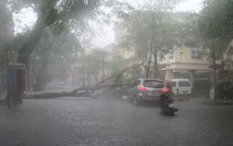 Hôm nay, Bắc Bộ mưa dông, gió giật mạnh