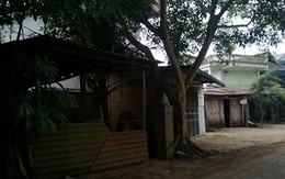 Nghi vấn nữ giám đốc Trung tâm Bồi dưỡng chính trị tự tử do vỡ nợ