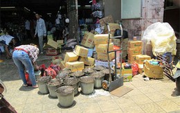 Thạch đen đựng bằng xô giá 10.000 đồng/kg ở chợ Đồng Xuân