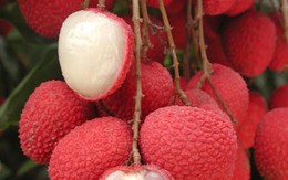Những lợi ích bất ngờ từ vải thiều